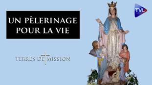 Terres de Mission n°182 : Un pèlerinage pour la vie