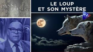 Passé-Présent n°313 : Le loup et son mystère