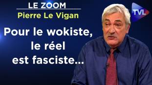 Zoom - Pierre Le Vigan : Wokisme : une expérience pour vous domestiquer