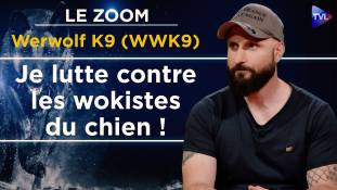 Zoom - Werwolf K9 (WWK9) : "L’Art du dressage : éduquer sans trahir la nature du chien"