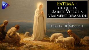 Terres de Mission n°428 - Les demandes de la Sainte Vierge à Fatima