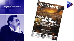 Le Plus d'Eléments - Gaza : la fuite en avant de Netanyahou