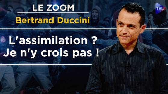 Zoom - Bertrand Duccini : Le racisme antiblanc expliqué par la psychanalyse