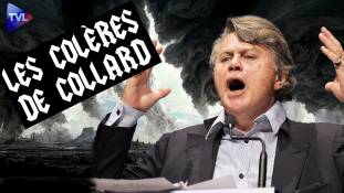 Les colères de Collard - La violence, toujours la violence !