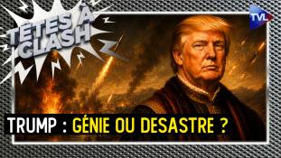 Trump, génie méconnu ou président hors contrôle ? Têtes à Clash - TVL