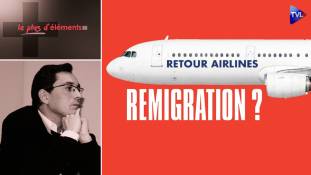 Le Plus d'Eléments - Remigration : l’heure du retour au pays ?