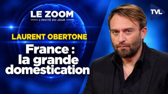 Zoom - Laurent Obertone : Il faut "décongeler le démolisseur"